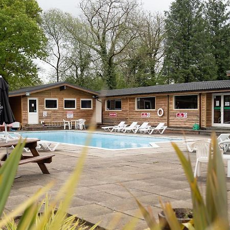 Honeysuckle Lodge Set In A Beautiful 24 Acre Woodland Holiday Park Newcastle Emlyn Zewnętrze zdjęcie