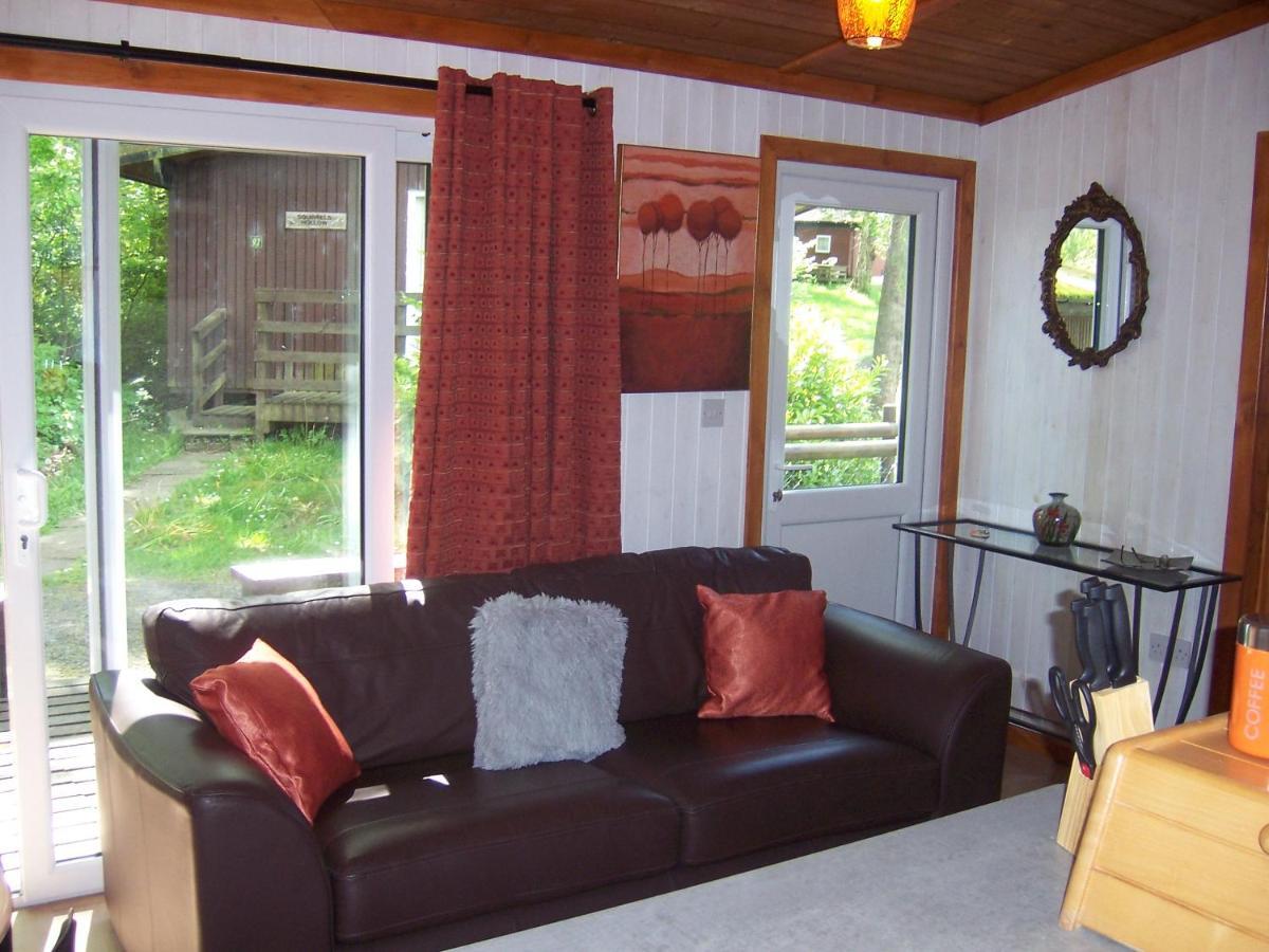 Honeysuckle Lodge Set In A Beautiful 24 Acre Woodland Holiday Park Newcastle Emlyn Zewnętrze zdjęcie