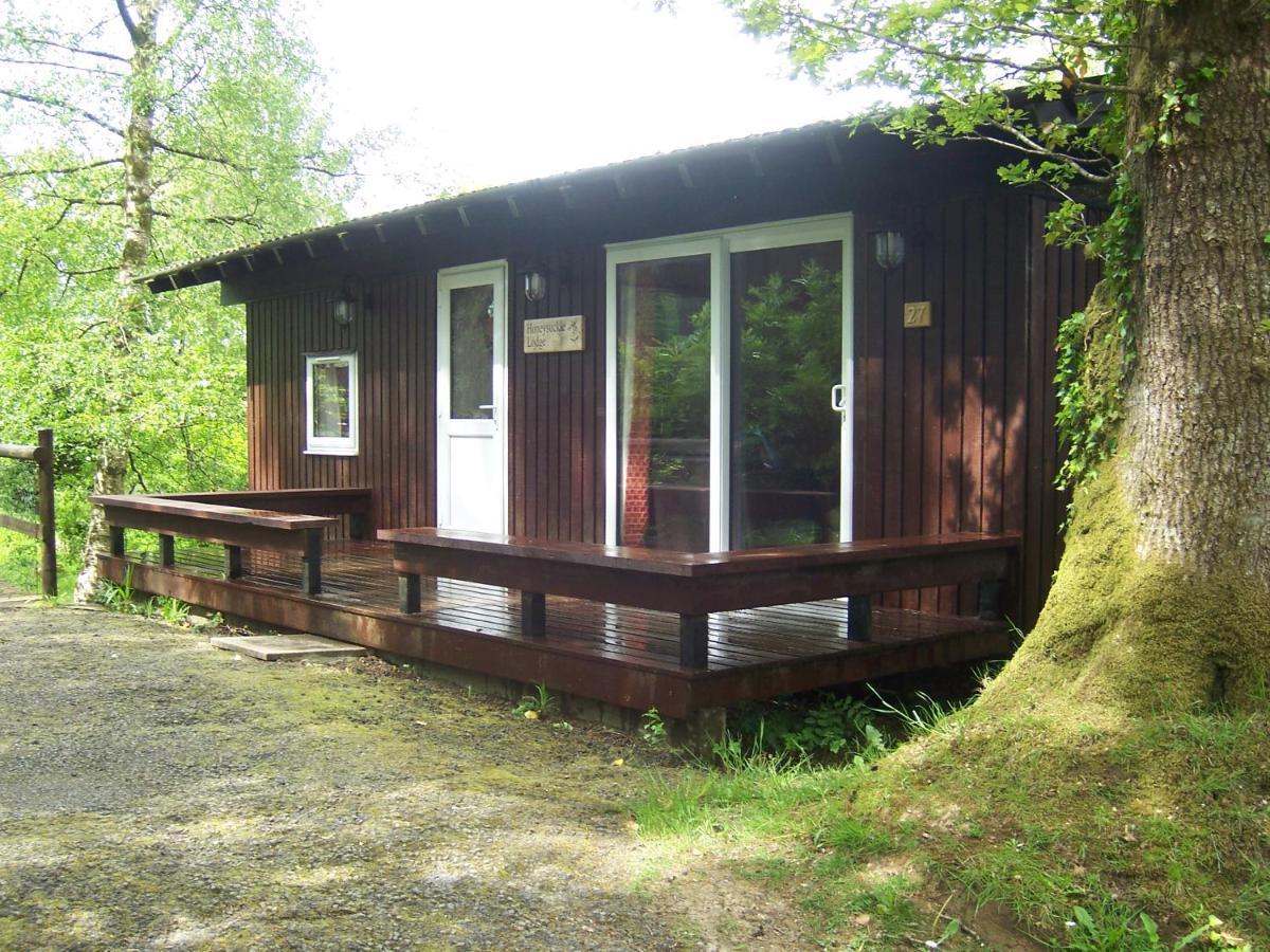 Honeysuckle Lodge Set In A Beautiful 24 Acre Woodland Holiday Park Newcastle Emlyn Zewnętrze zdjęcie